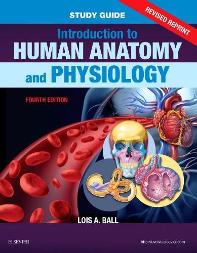 Cover image for Study Guide for Introduction to Human Anatomy and Physiology - Revised Reprints