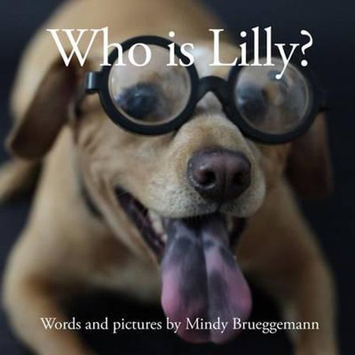 Cover image for Who is Lilly?