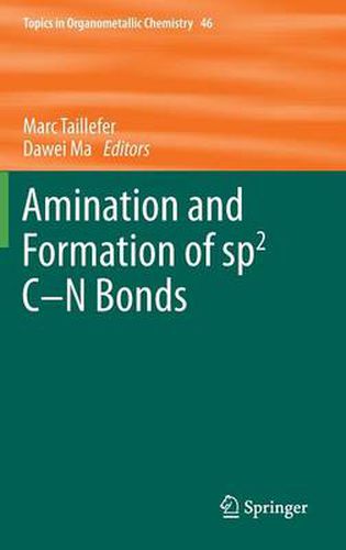 Cover image for Amination and Formation of sp2 C-N Bonds