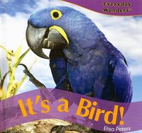 Cover image for It's a Bird!