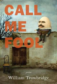 Cover image for Call Me Fool