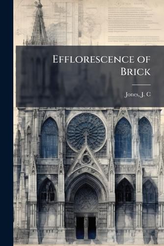Cover image for Efflorescence of Brick