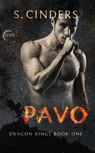 Cover image for Pavo