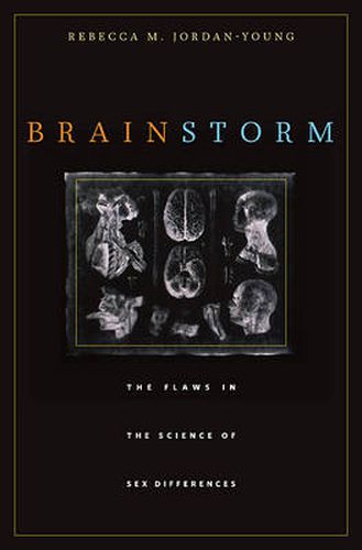 Cover image for Brain Storm: The Flaws in the Science of Sex Differences