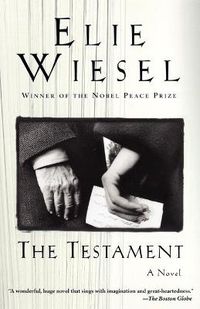 Cover image for The Testament: A novel