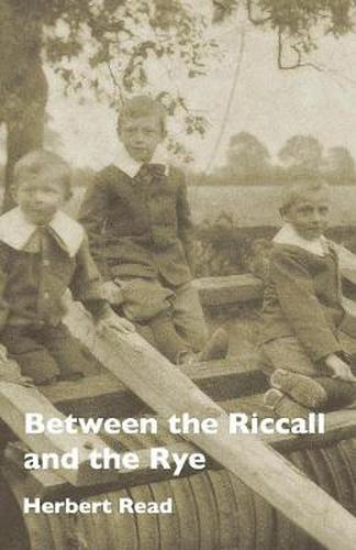 Cover image for Between the Riccall and the Rye