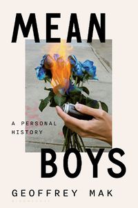 Cover image for Mean Boys