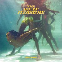 Cover image for The Age of Pleasure