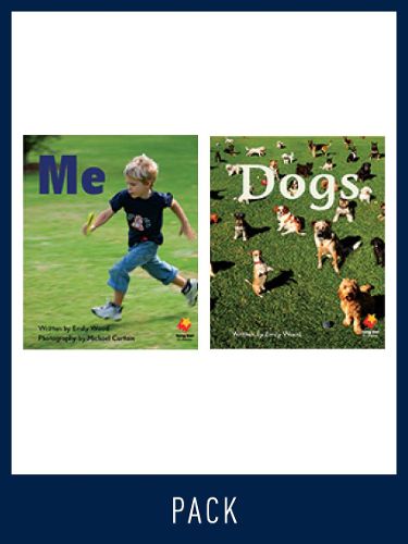 Cover image for Flying Start Guided Reading Level 1, Pack 7: Paired student books (6x6), vocabulary starter (1) and lesson plan (1)