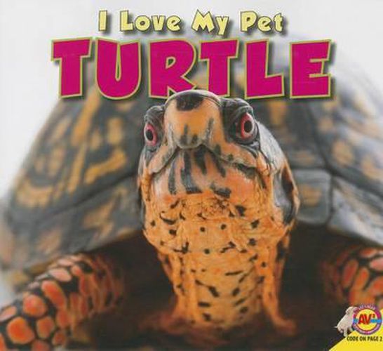 Cover image for Turtle