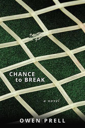 Cover image for Chance to Break