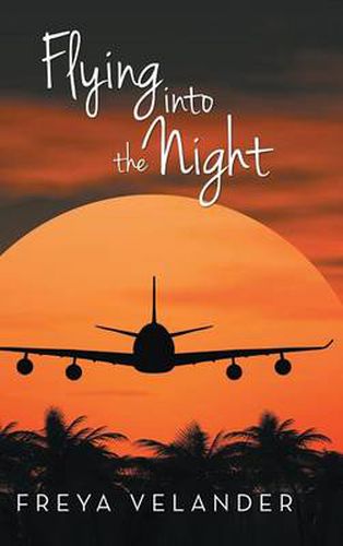 Cover image for Flying Into the Night