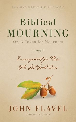 Cover image for Biblical Mourning: Encouragement for Those Who Lost Loved Ones