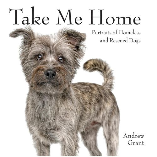 Cover image for Take Me Home!: Rescue Dogs