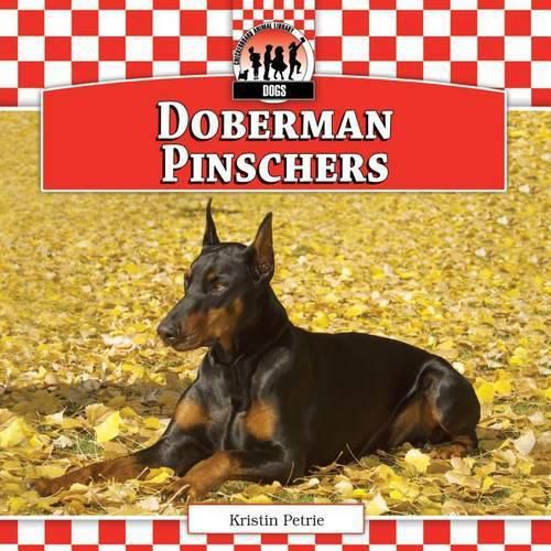 Cover image for Doberman Pinschers