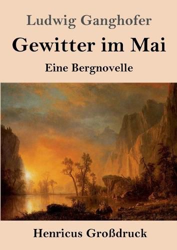 Gewitter im Mai (Grossdruck): Eine Bergnovelle