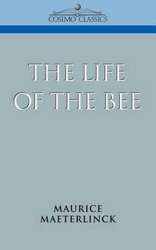 The Life of the Bee