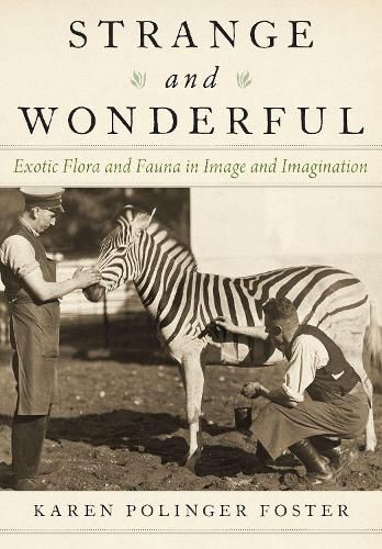 Cover image for Strange and Wonderful: Exotic Flora and Fauna in Image and Imagination