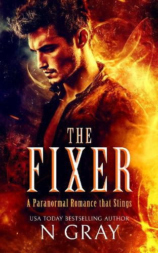 Cover image for The Fixer