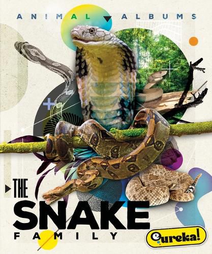 Cover image for The Snake Family