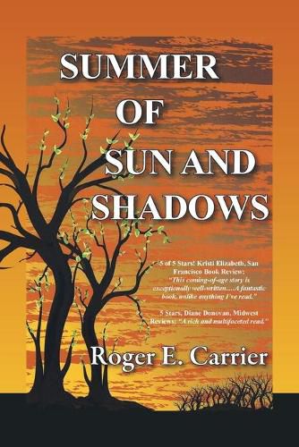 Cover image for Summer of Sun and Shadows