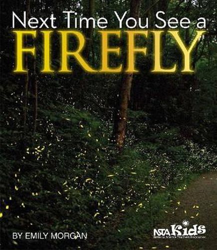 Cover image for Next Time You See a Firefly