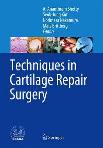 Cover image for Techniques in Cartilage Repair Surgery