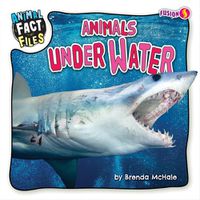 Cover image for Animals Under Water