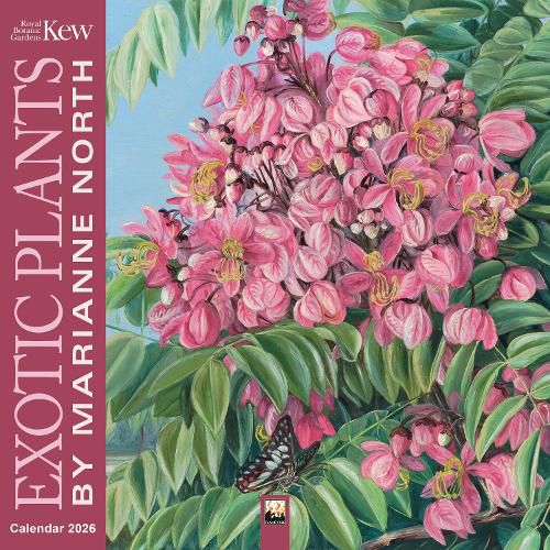 Cover image for Kew Gardens: Exotic Plants by Marianne North Wall Calendar 2026 (Art Calendar)
