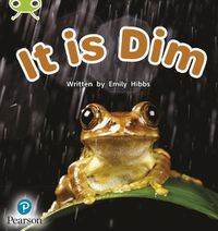 Cover image for Bug Club Phonics Non-Fiction Early Years and Reception Phase 2 Unit 2 It is Dim