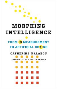 Cover image for Morphing Intelligence: From IQ Measurement to Artificial Brains