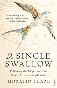 Cover image for A Single Swallow: Following an Epic Journey from South Africa to South Wales