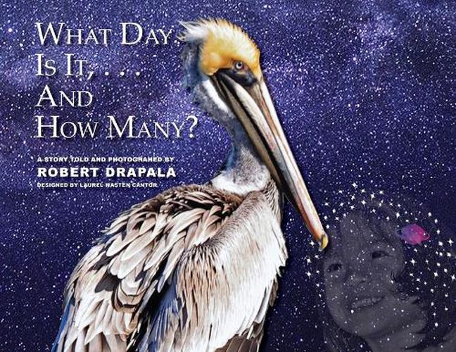 Cover image for What Day Is It and How Many?