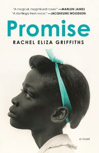 Cover image for Promise