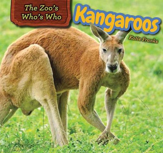 Cover image for Kangaroos