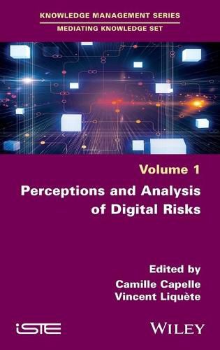 Cover image for Perceptions and Analysis of Digital Risks