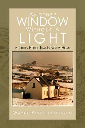 Cover image for Another Window Without A Light