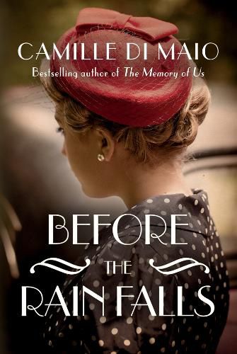 Cover image for Before the Rain Falls: A Novel