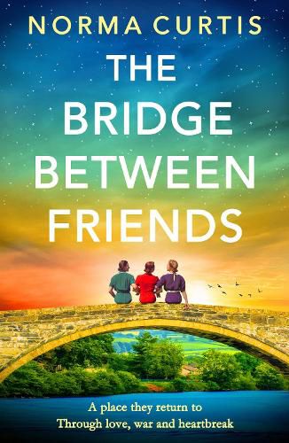 Cover image for The Bridge Between Friends
