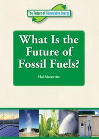 Cover image for What Is the Future of Fossil Fuels?