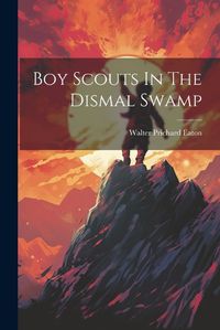 Cover image for Boy Scouts In The Dismal Swamp