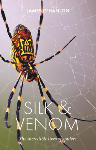 Cover image for Silk & Venom