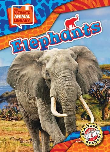 Cover image for Elephants