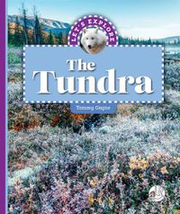 Cover image for Let's Explore the Tundra