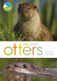 Cover image for RSPB Spotlight: Otters