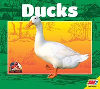 Cover image for Ducks