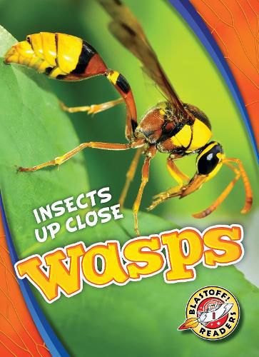 Cover image for Wasps