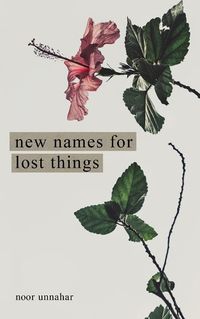 Cover image for New Names for Lost Things