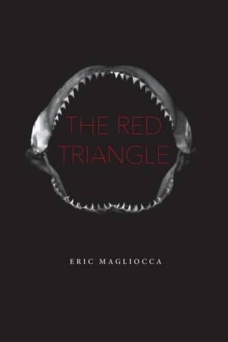 Cover image for The Red Triangle