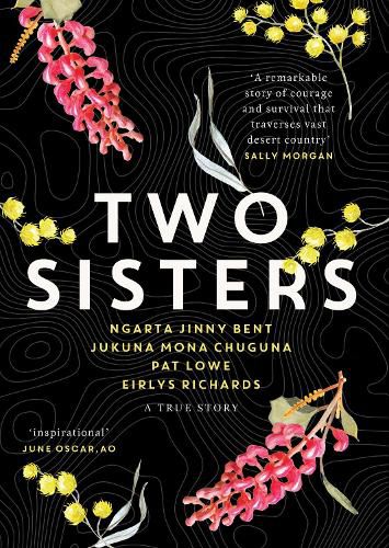 Cover image for Two Sisters